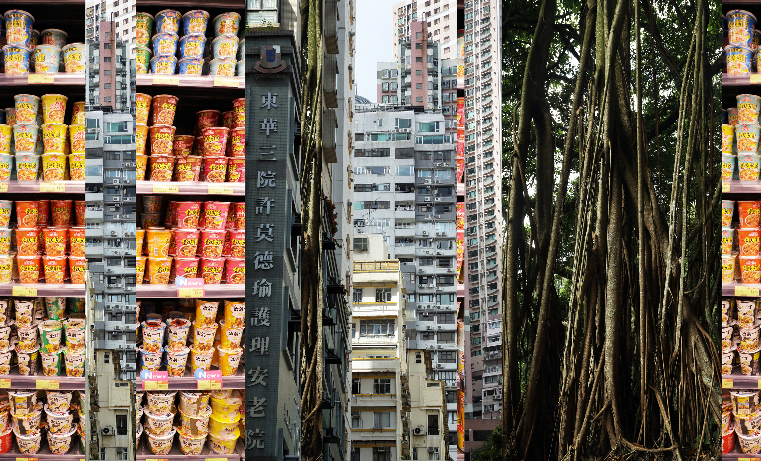 Vertical City