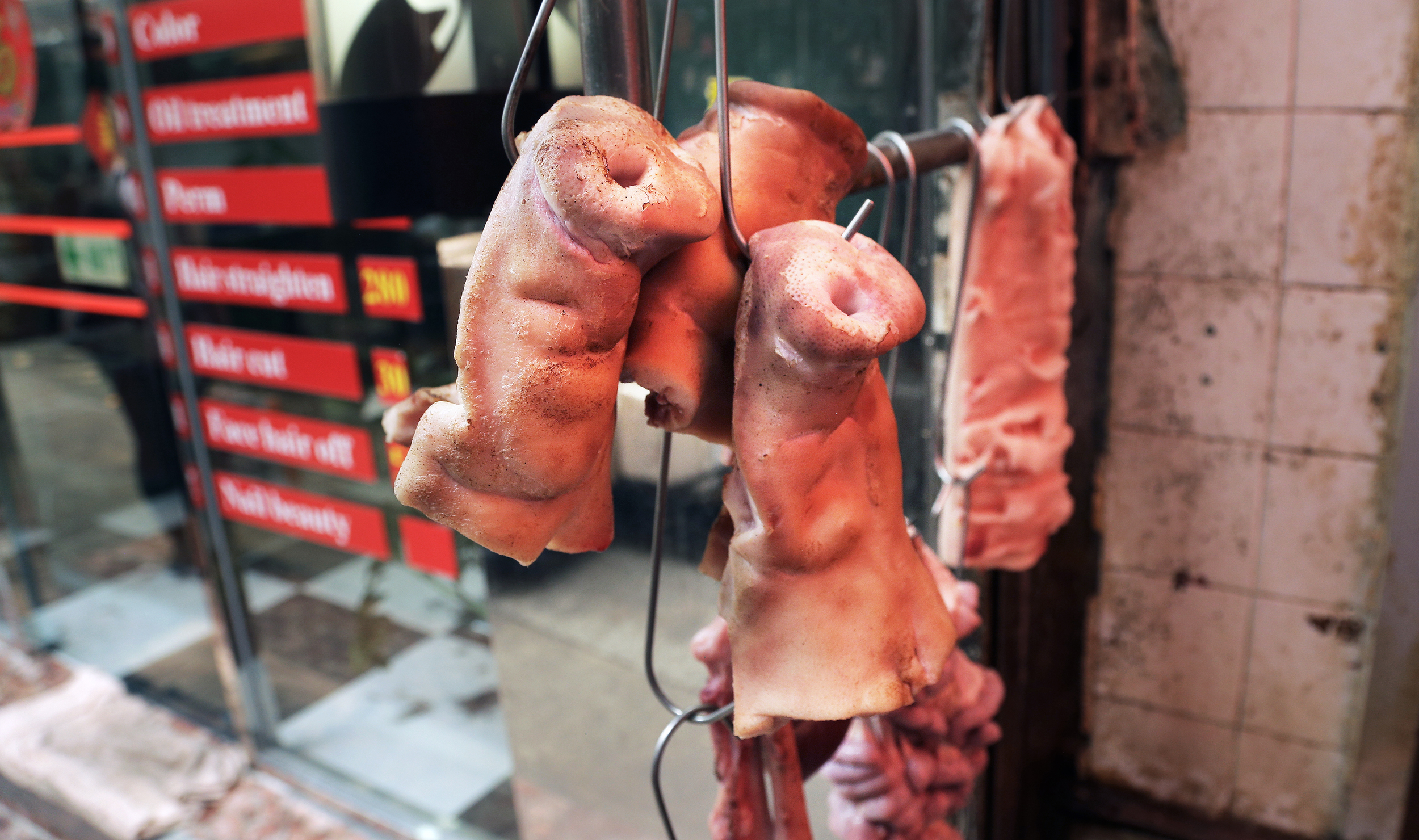Lunch Anyone?
