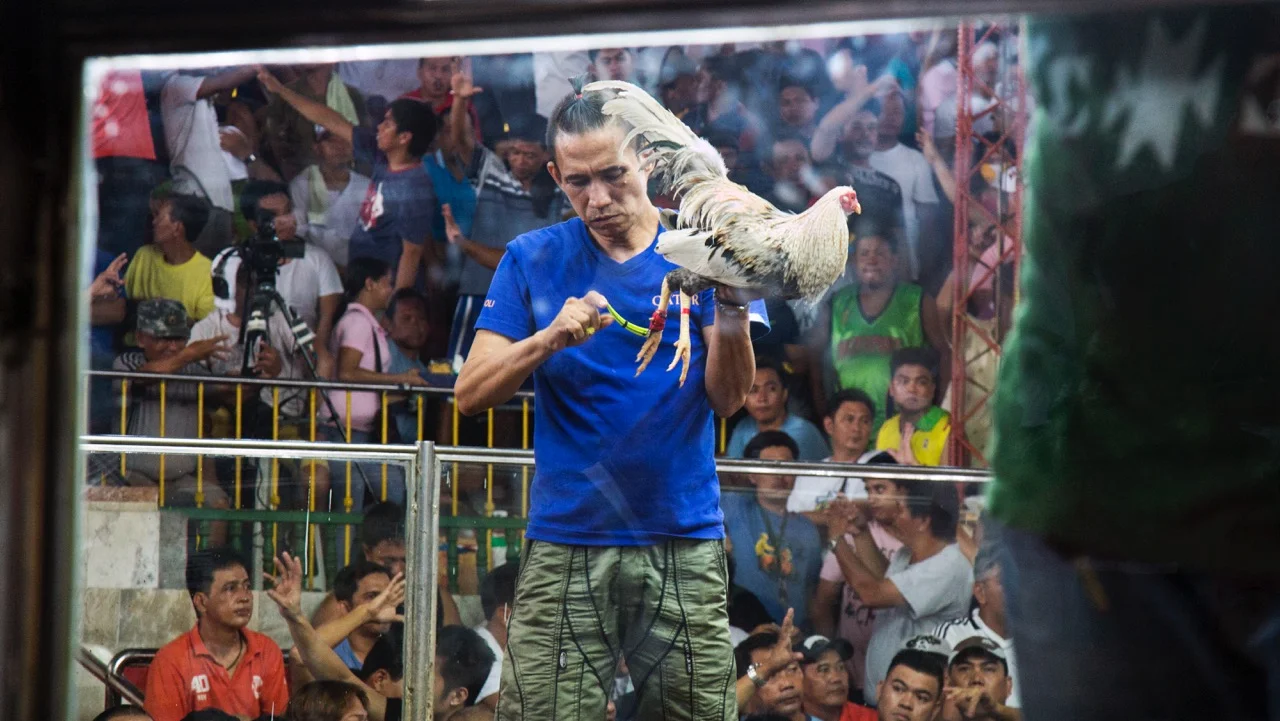 Thrilla of Manila 1 (Copy)