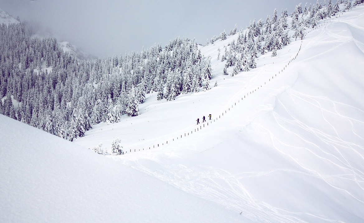 Chasing Lines (Copy)