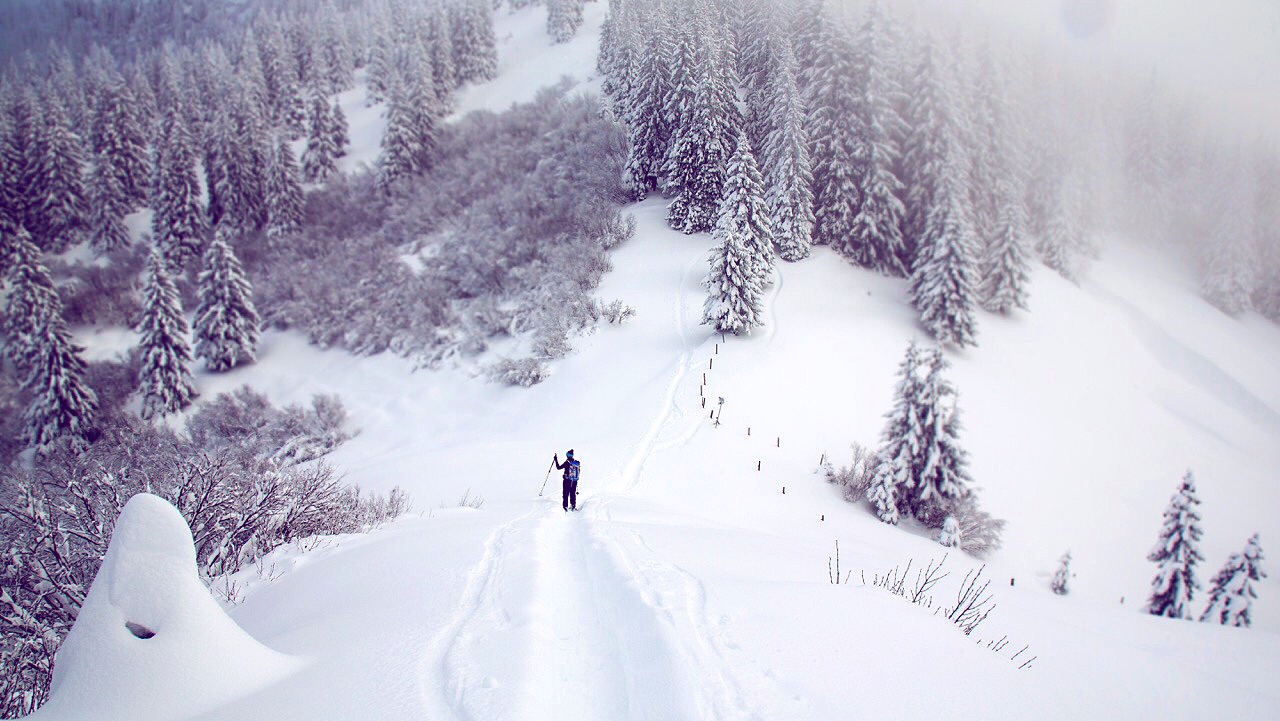 Getting Lost In Whiteworld (Copy)