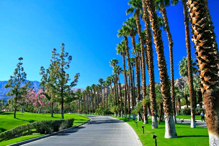 Arnold Palmer Entrance Drive at PGA West