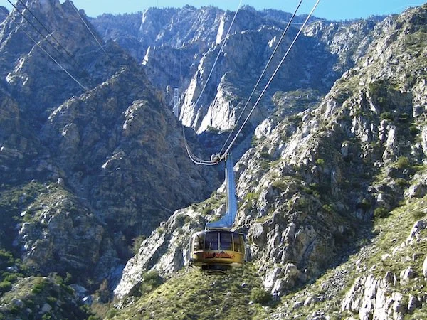 palmspringstram.jpg
