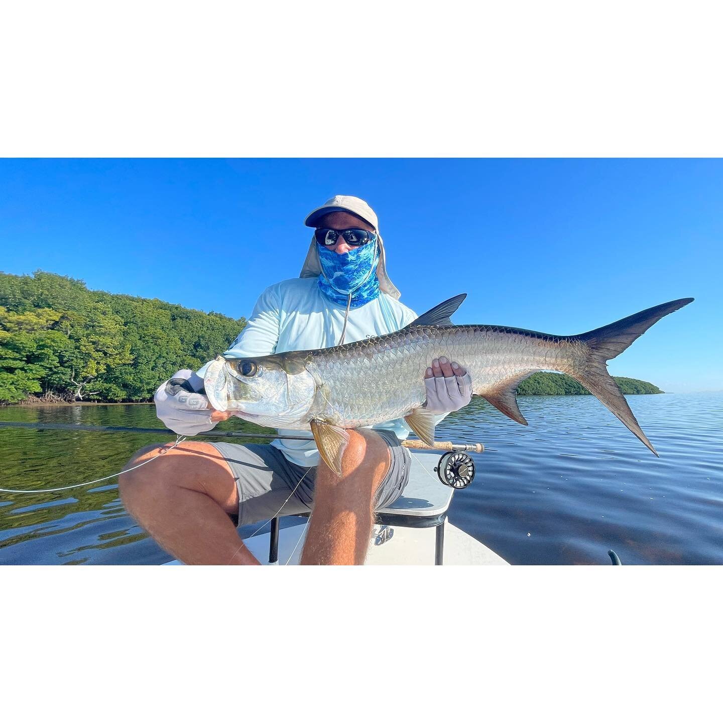 Stu with a healthy juvenile #tarpononfly to dial in for the mommas and poppas on our next trip 🤙🏽🤙🏽. A lot of effort and attention to details go into presenting a fly, feeding, fighting and landing any sight fished species. Some require more than