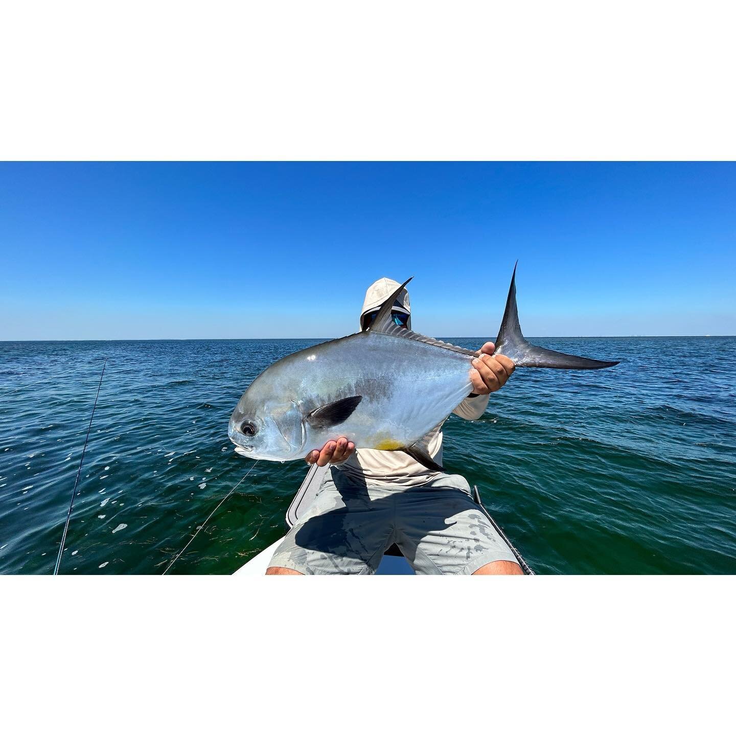 Some recents with @dan_diez_ and @triplecrown_sportfishing @willyespinosa_  #soflaanglingco #southflorida #miami #sightfishing #inshorefishing #flyfishing #permit #tarpon #bonefish  #skinnywaterculture #carbonmarine #tfo #costasunglasses #fishsofla