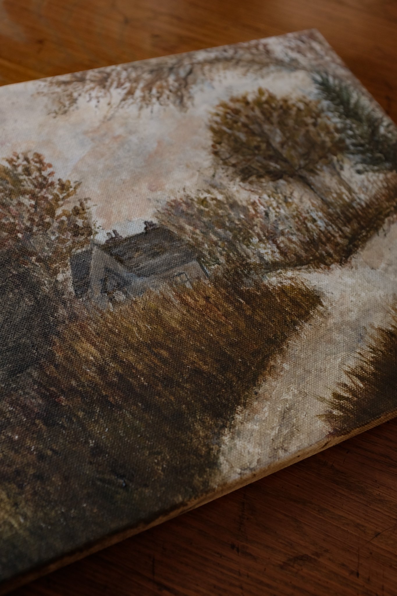 DSCF8577.jpg
