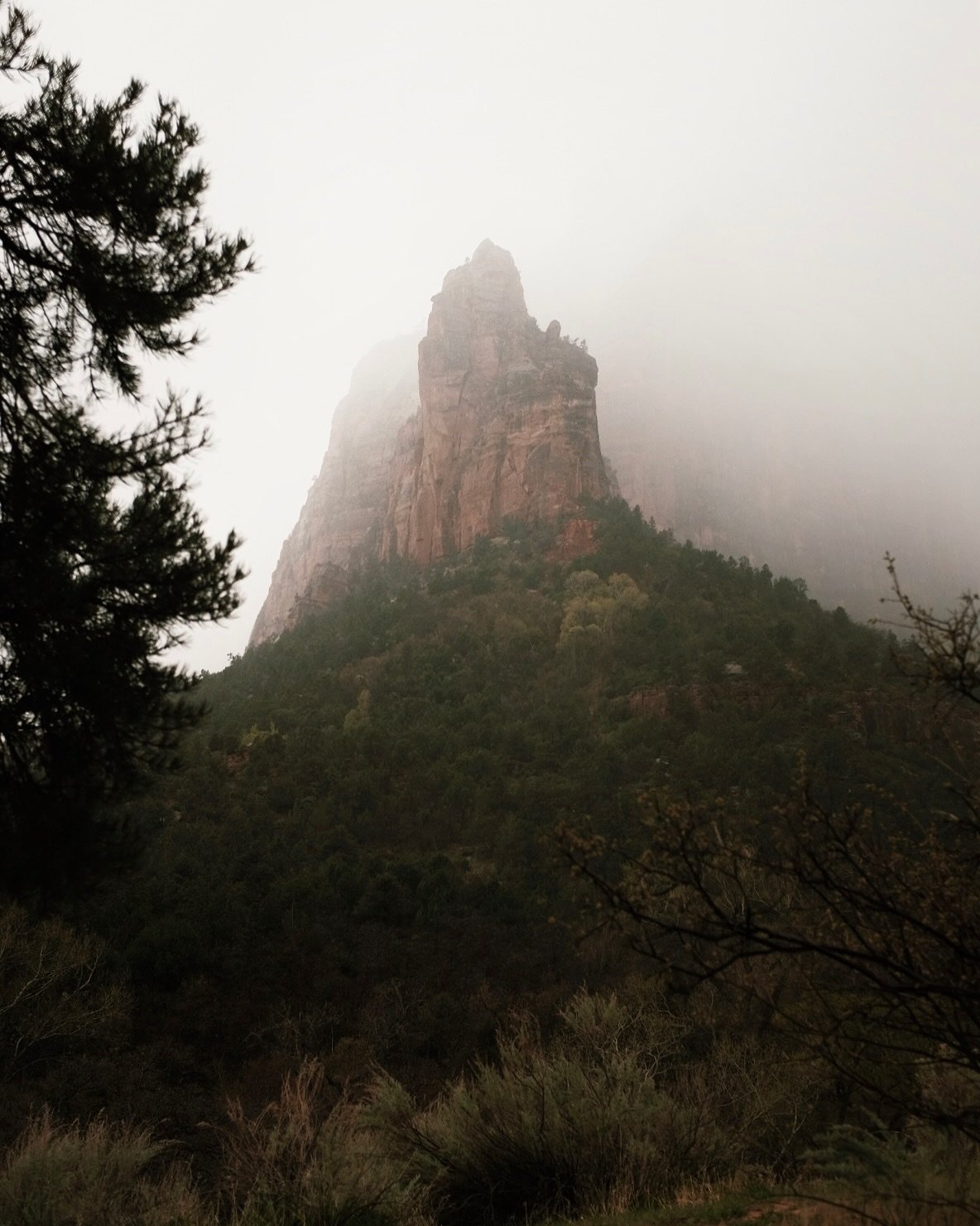 Zion National Park in a drizzle ⭐️⭐️⭐️⭐️⭐️