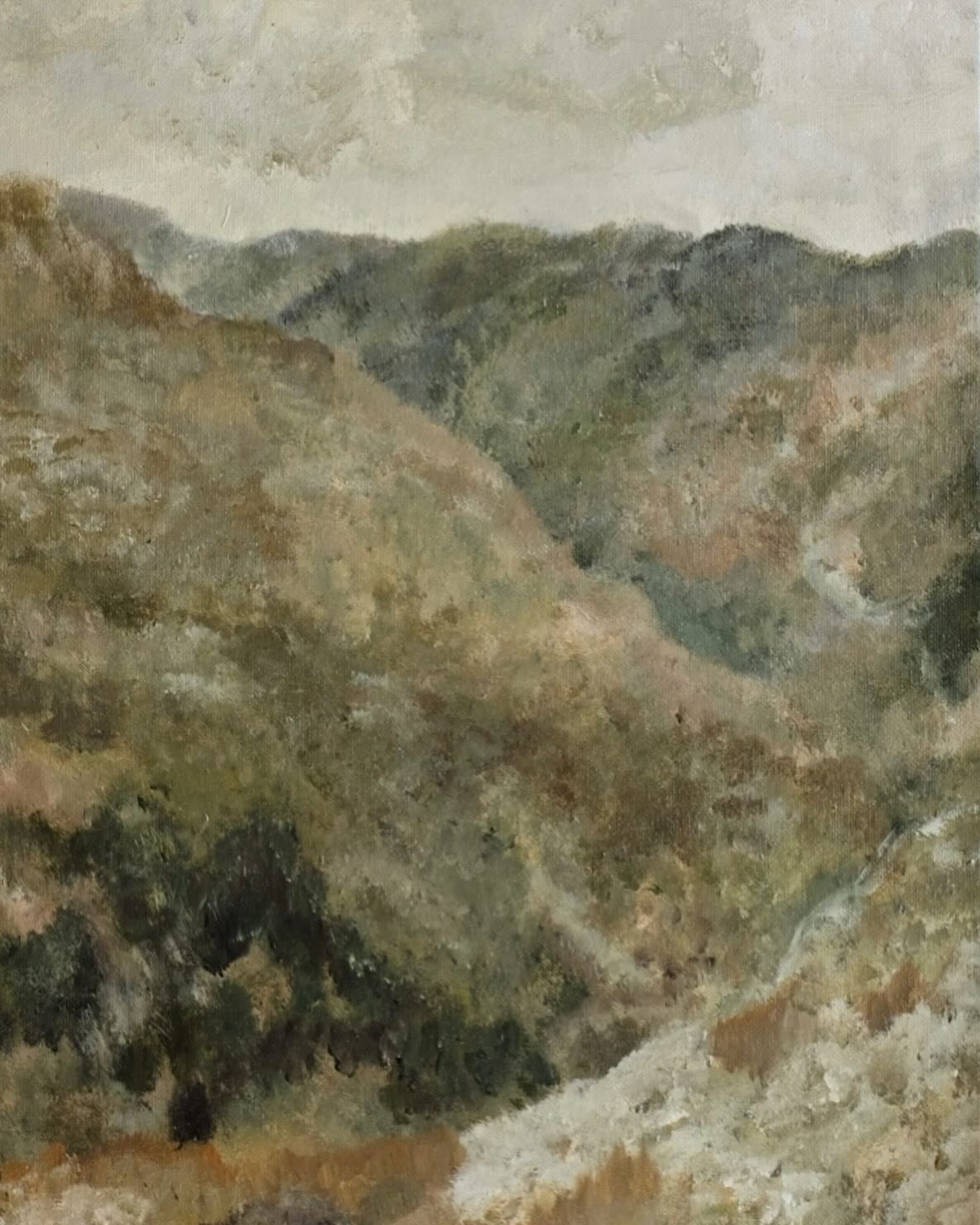 A hillside in bloom
Mayette
12&rdquo; x 16&rdquo;