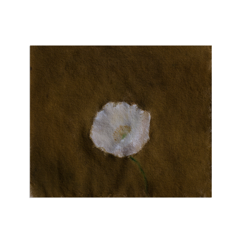 _wpHfMGw.png