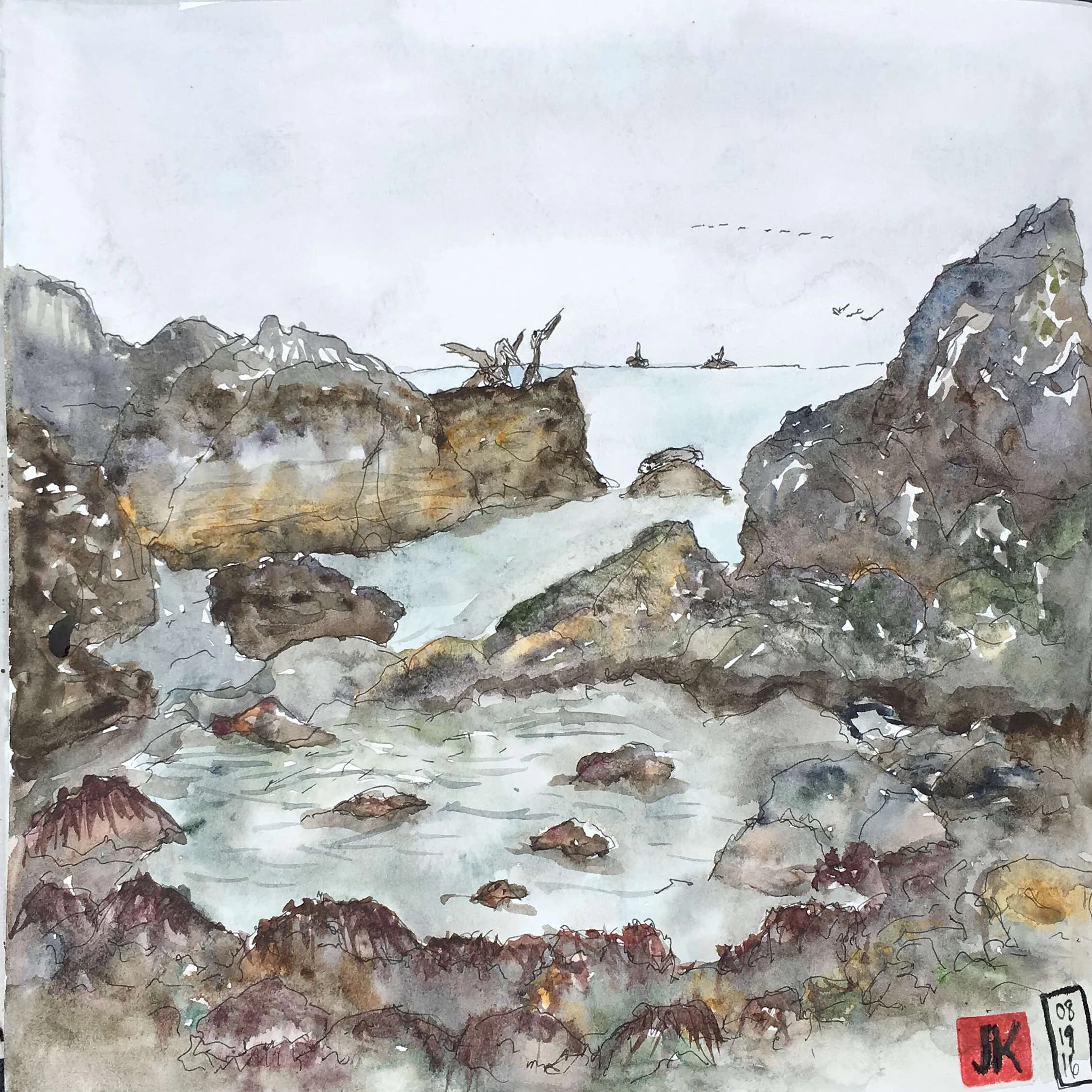 My tide pool sketch