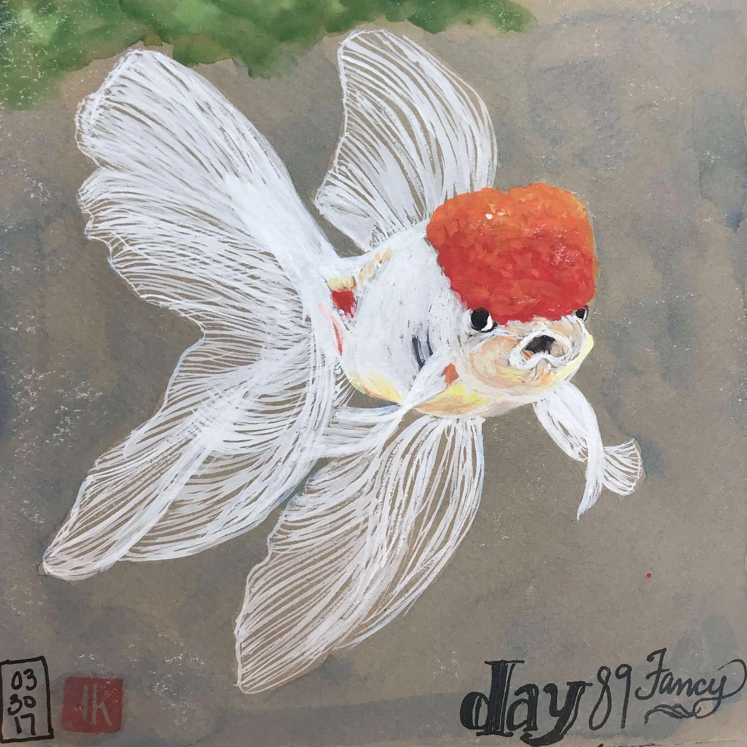 fancy goldfish