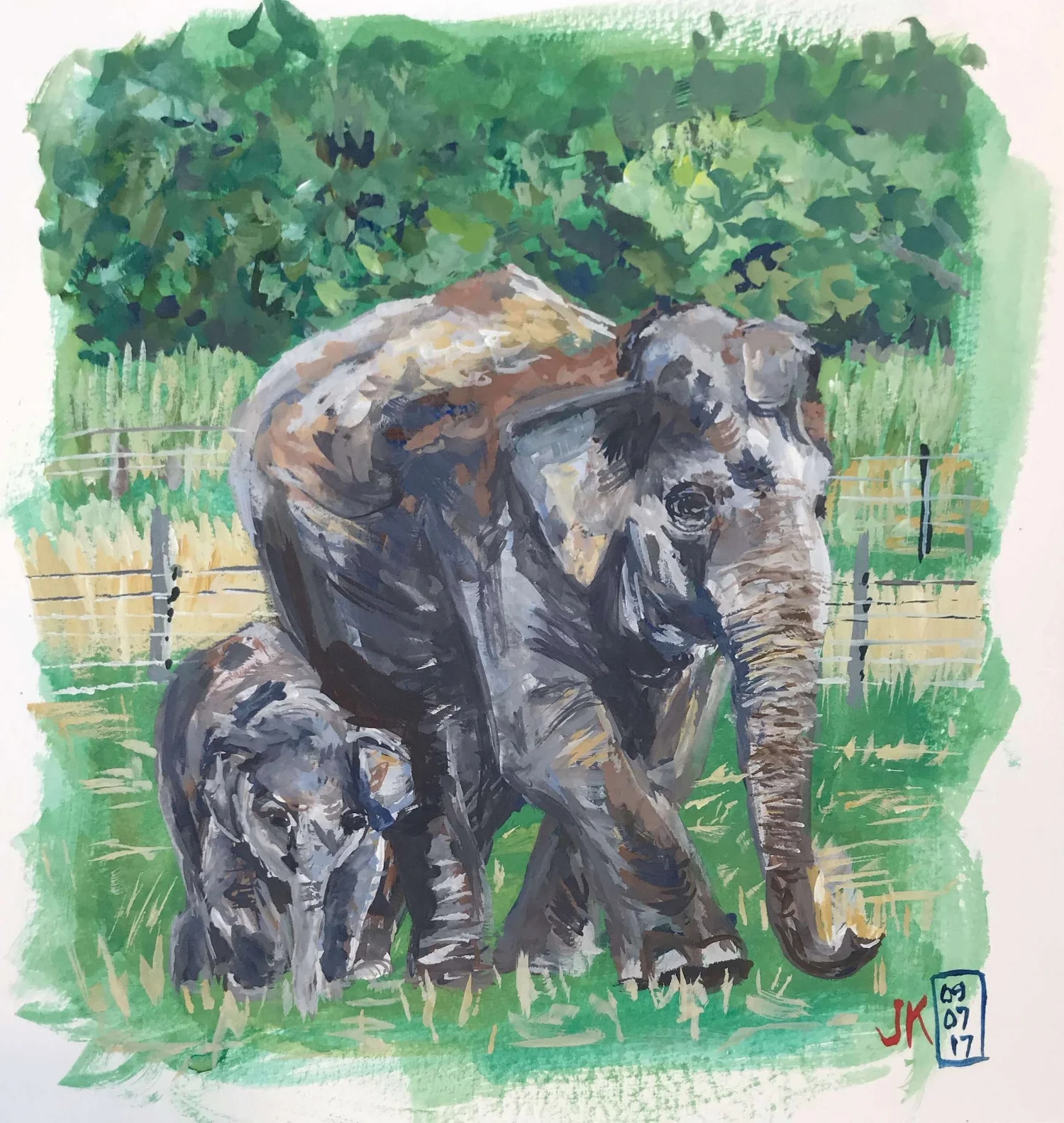 elephants