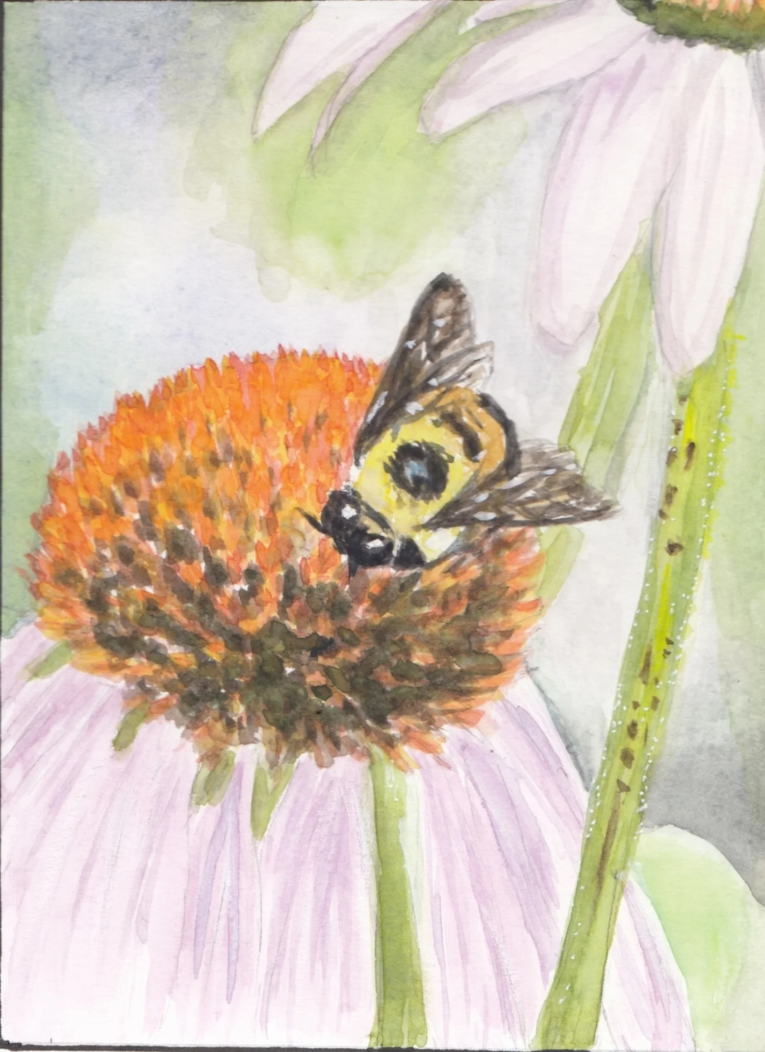 bee & flower