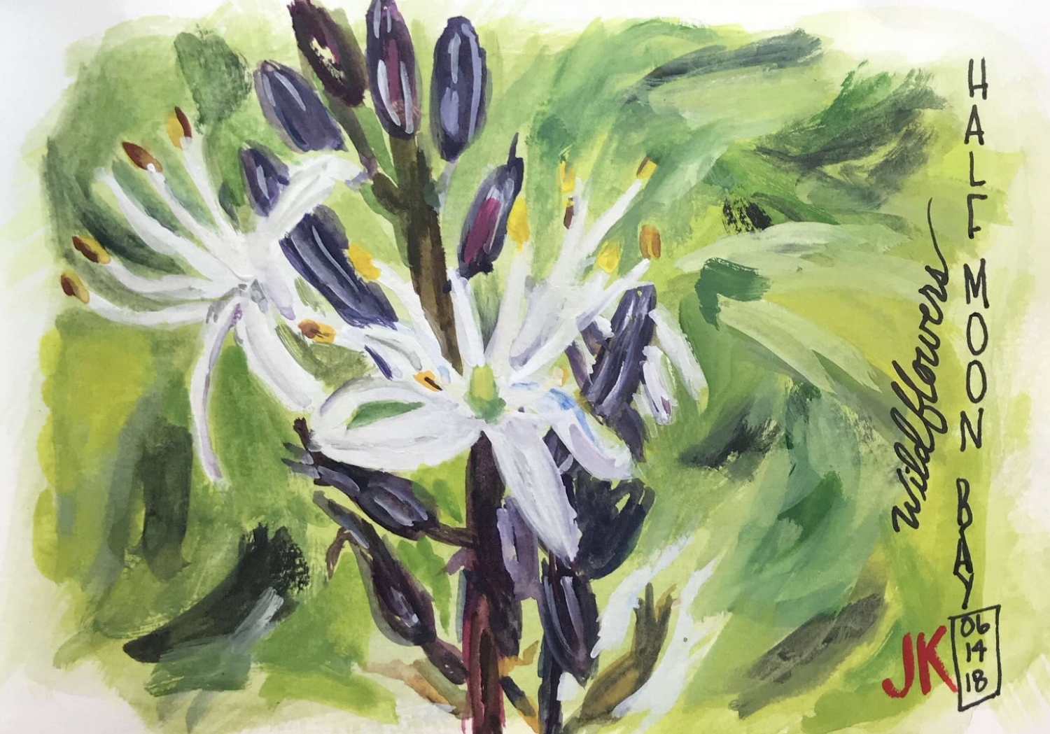 soap plant in Half Moon Bay