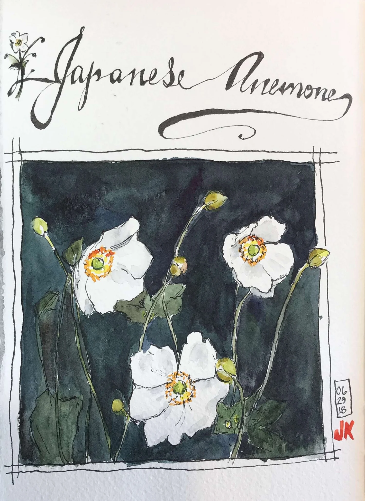 Japanese anemones