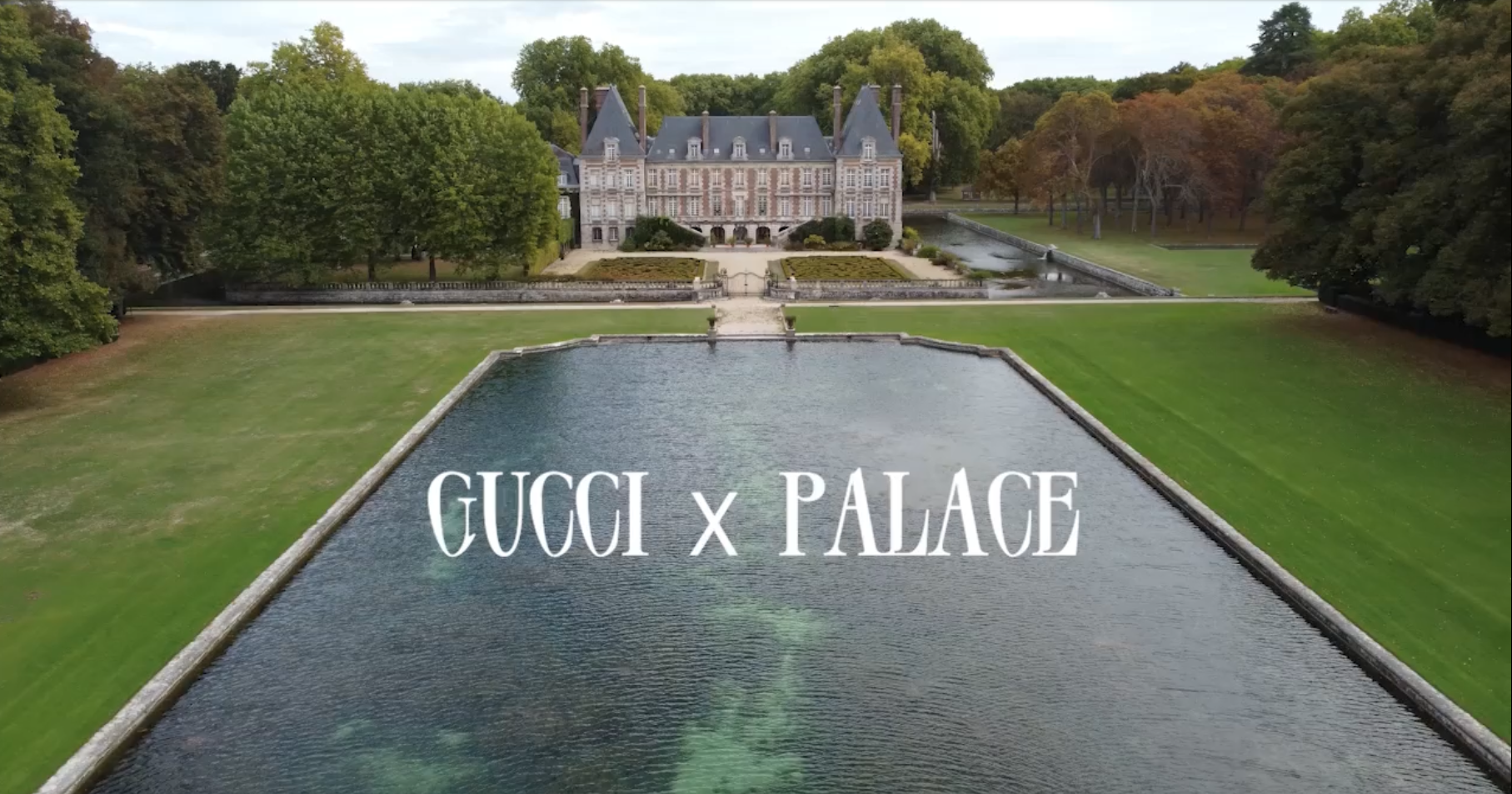 GUCCI x PALACE by PURPLE