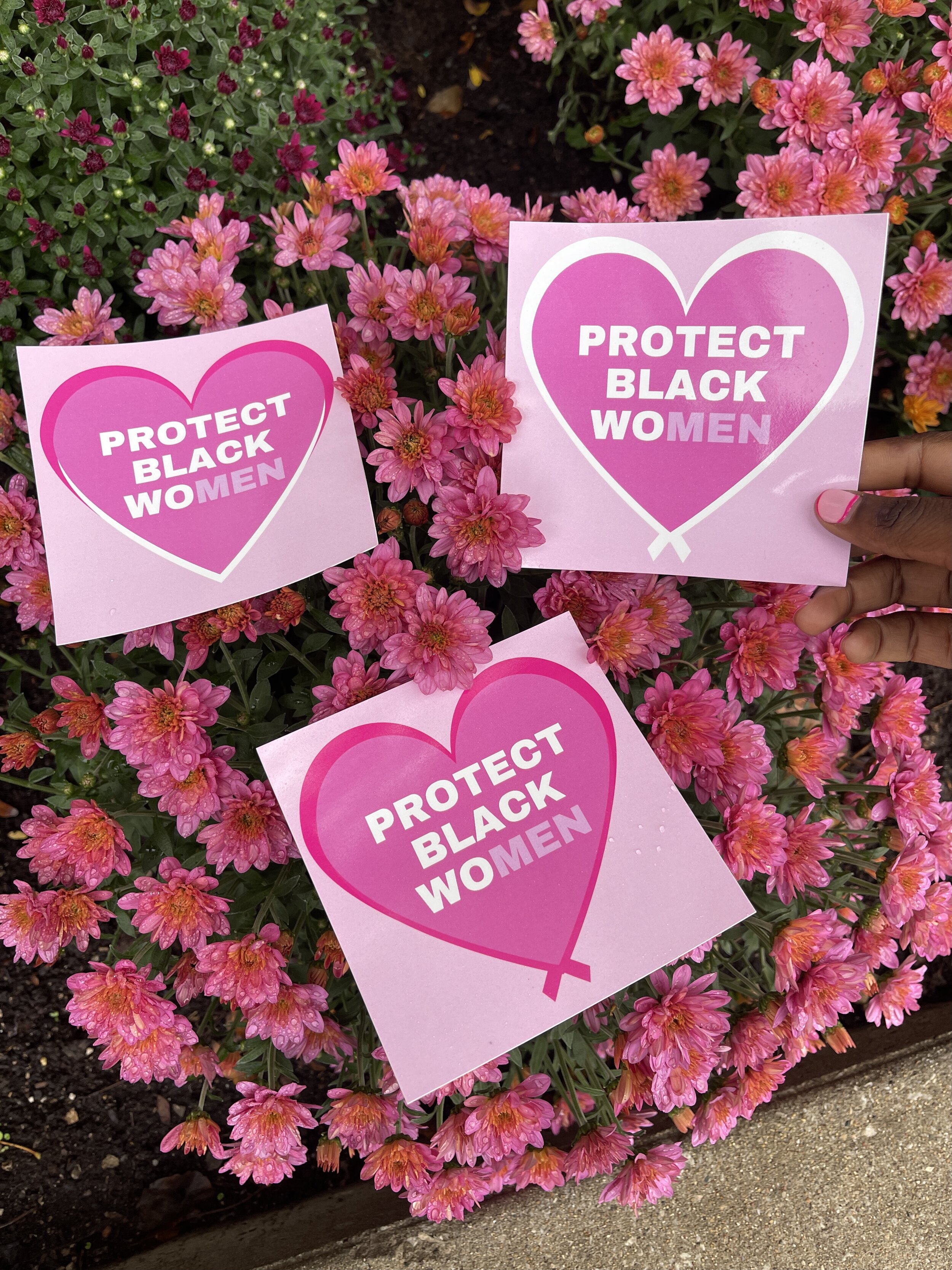 ProtectBlackWomenPINK.jpg