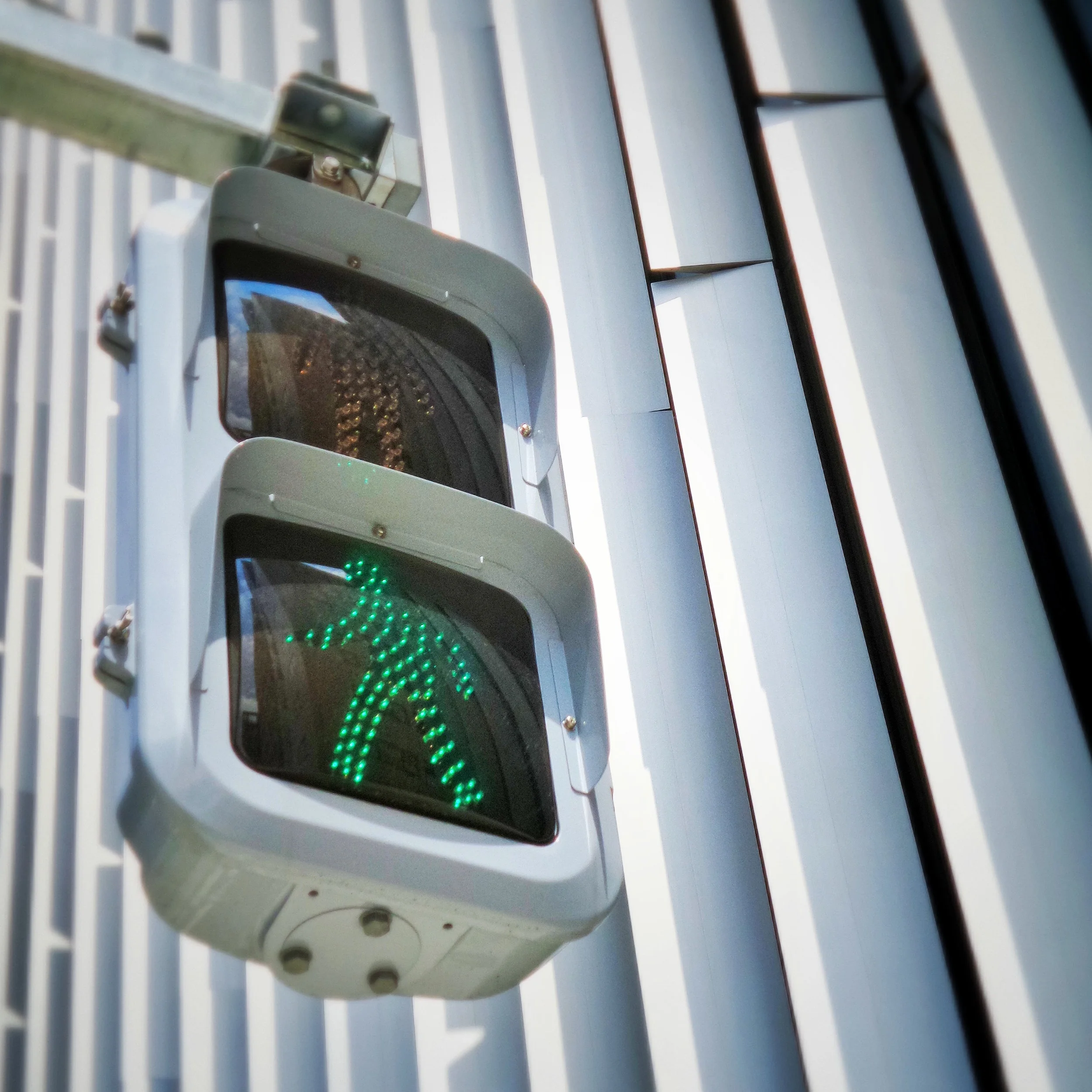 The Boldness of Moving Forward - Chris Scott