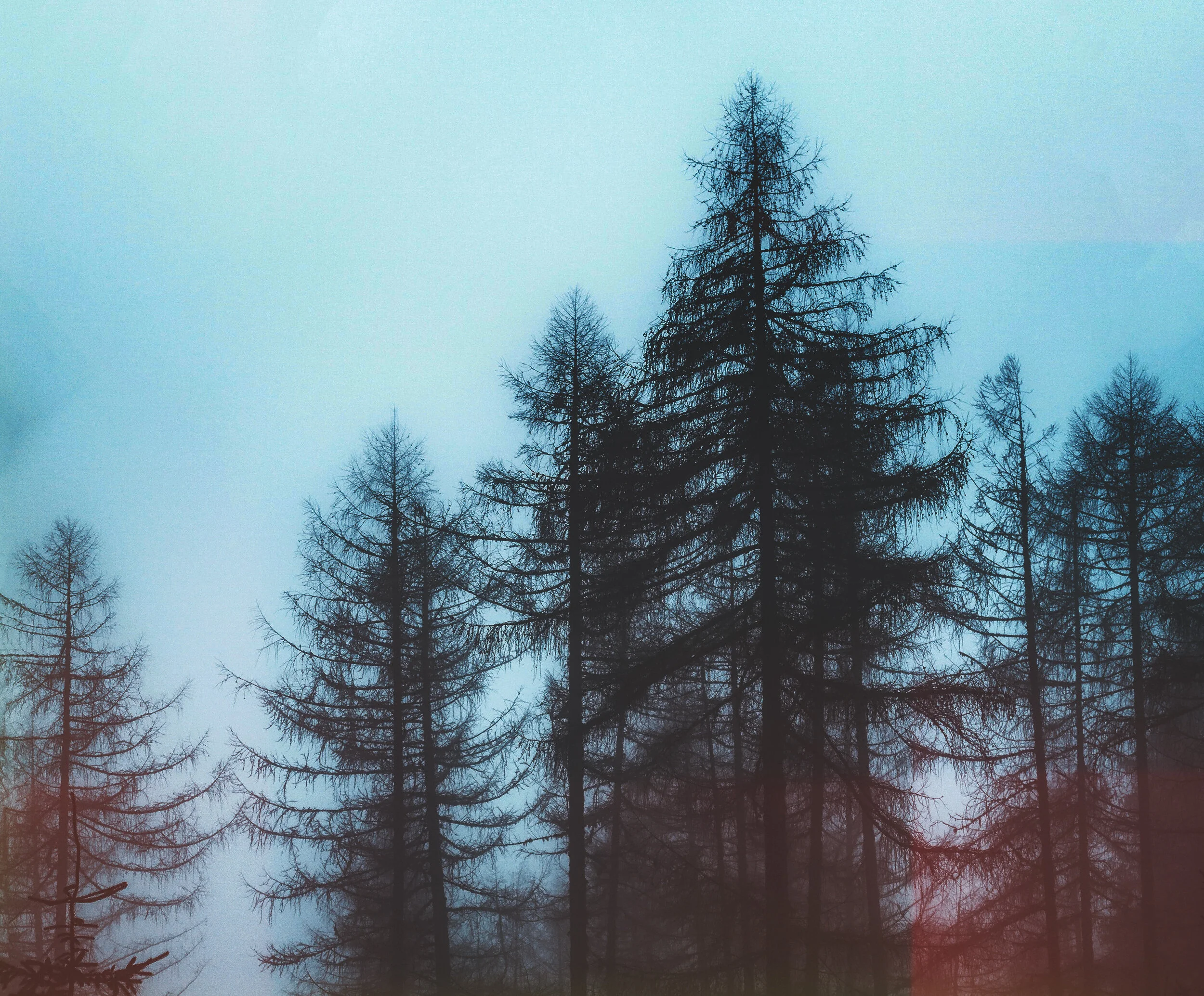 Come and See For Yourself - Ryan Pryor