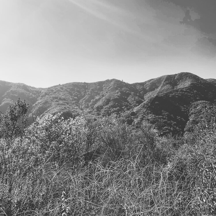 The Valley Makes the Mountaintop