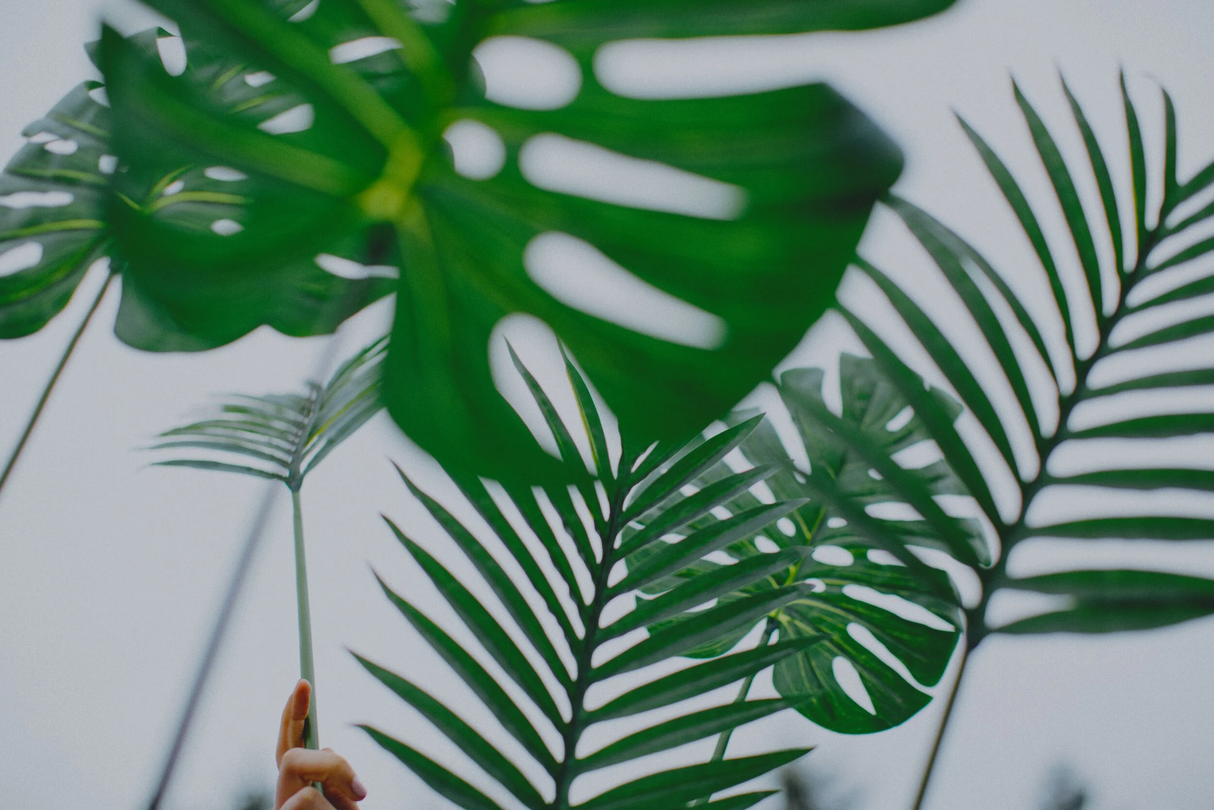 An Invitation To Holy Week