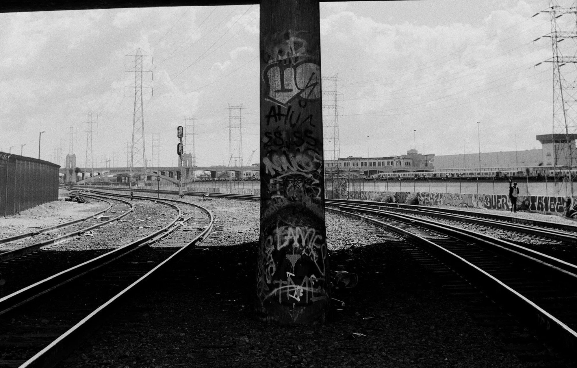 Weeds and Wheat, A Hip-Hop Story - Joshua Trujillo