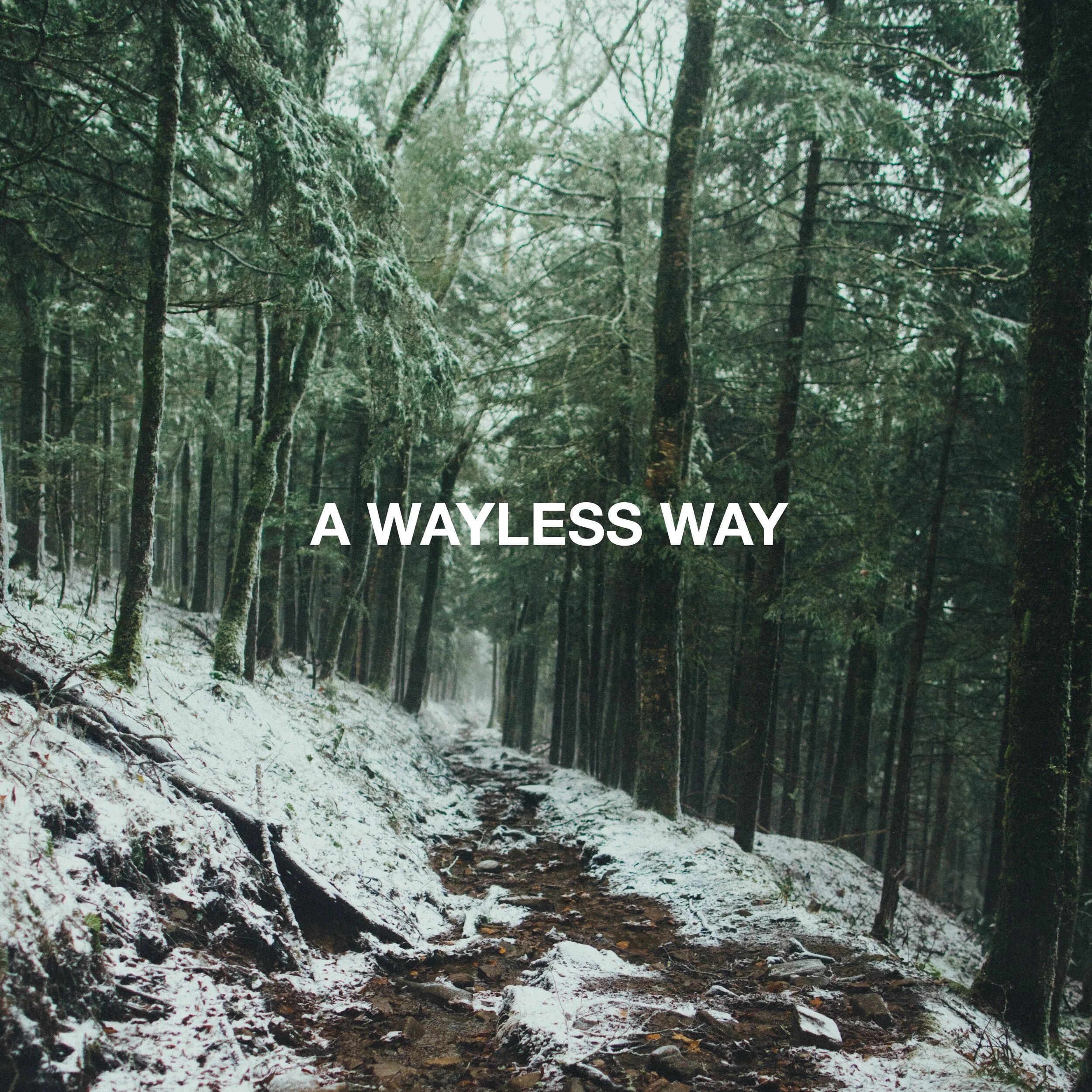 A Wayless Way