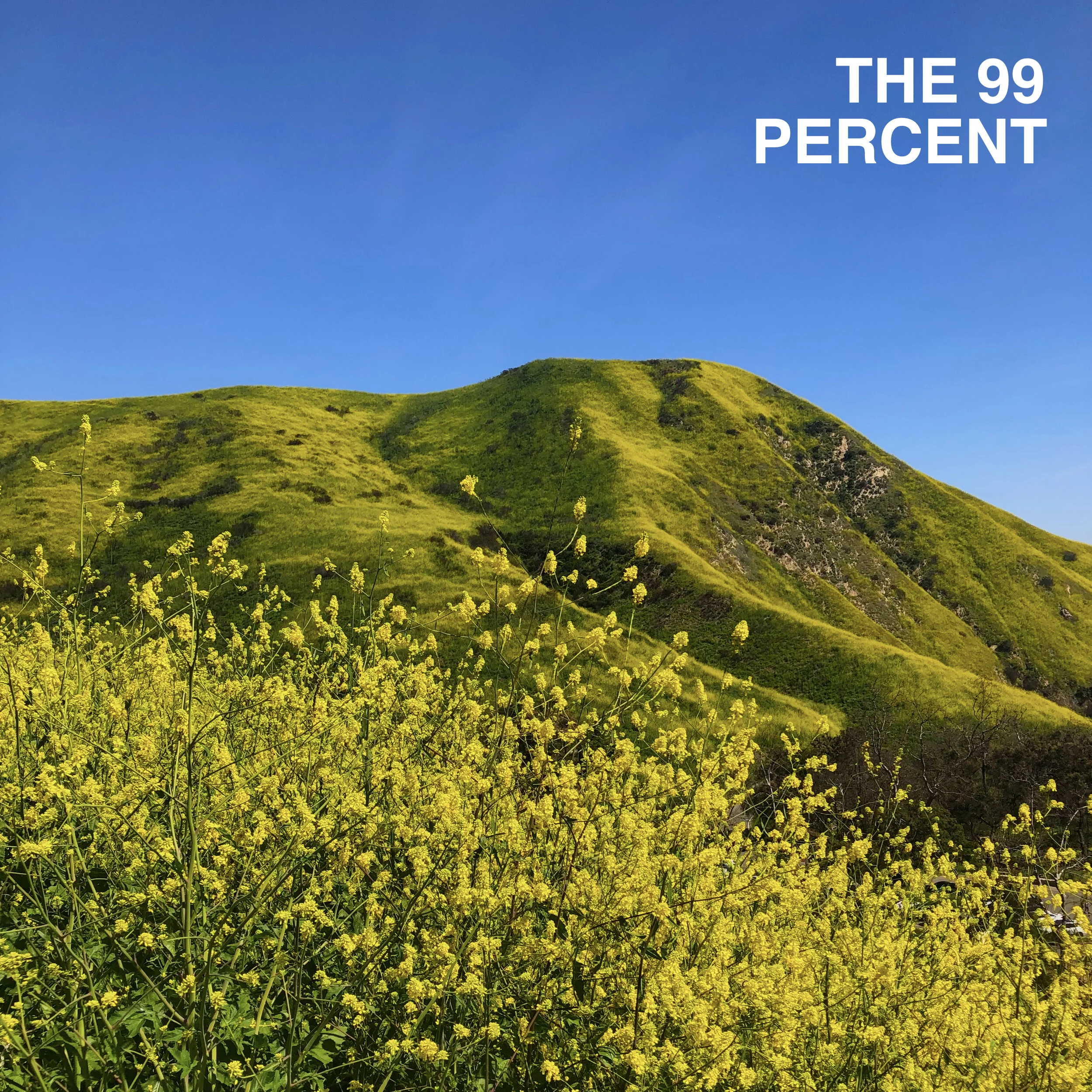 The 99 Percent
