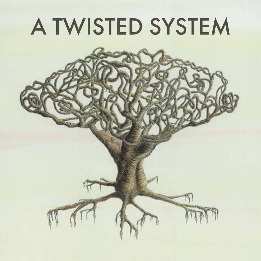 A Twisted System