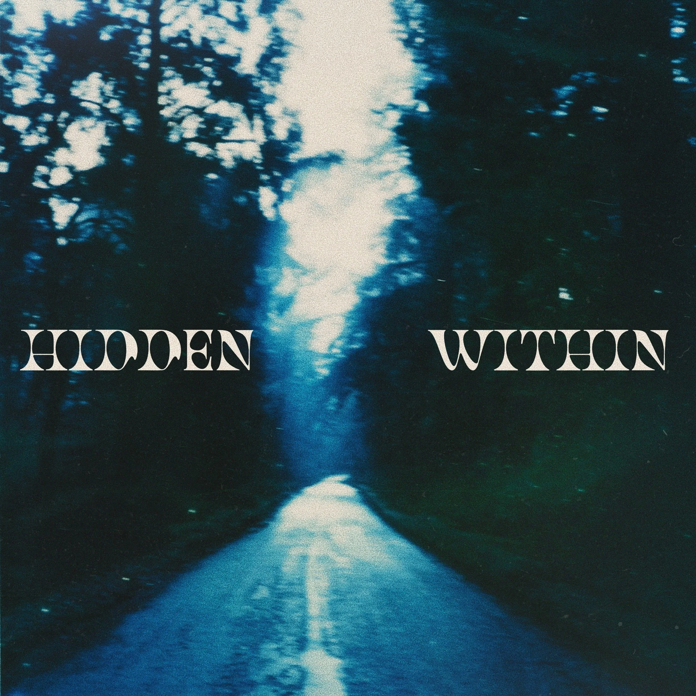 Hidden Within