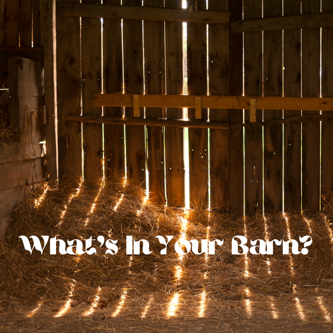 What's in Your Barn?