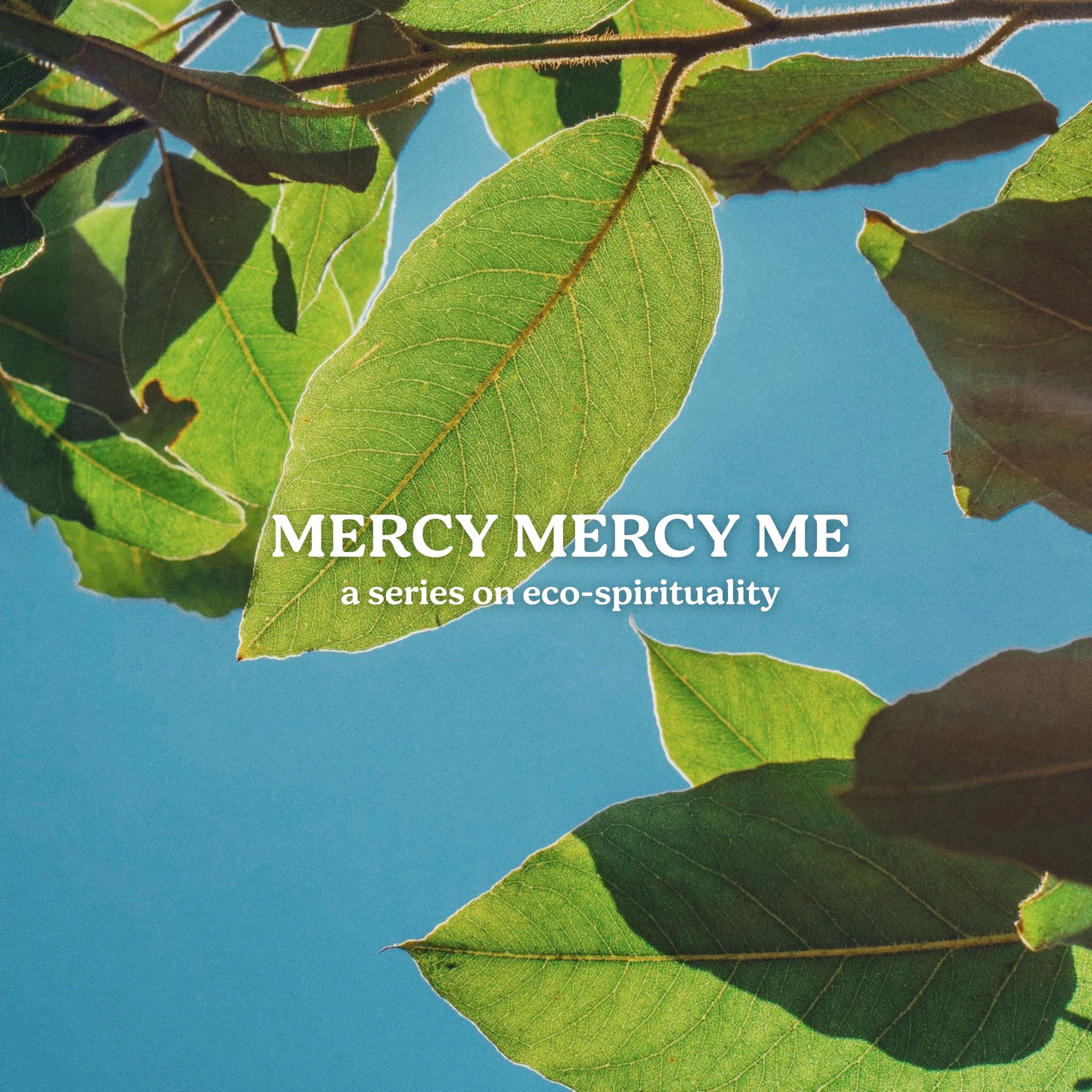 5 Years of Eco-Spirituality  - Looking Back &amp; Looking Forward