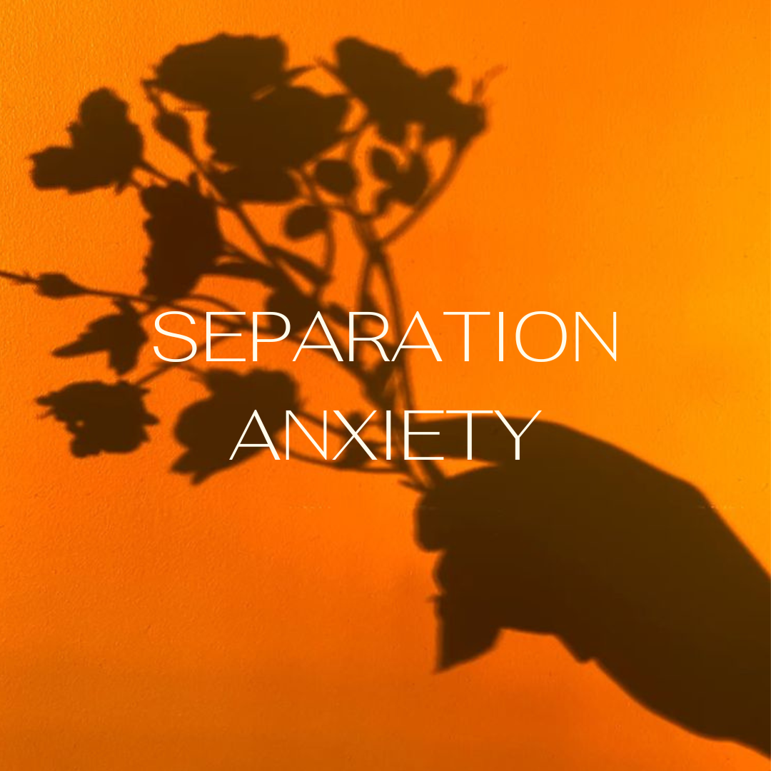 Separation Anxiety