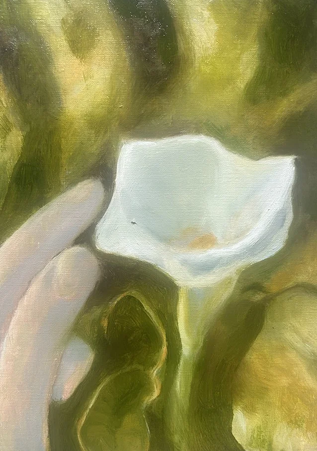 My Calla Lilly
