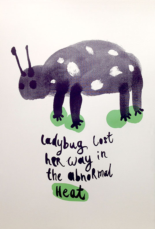 lady-bug_balnova.jpg