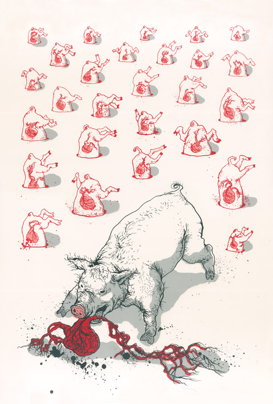 pig.jpg