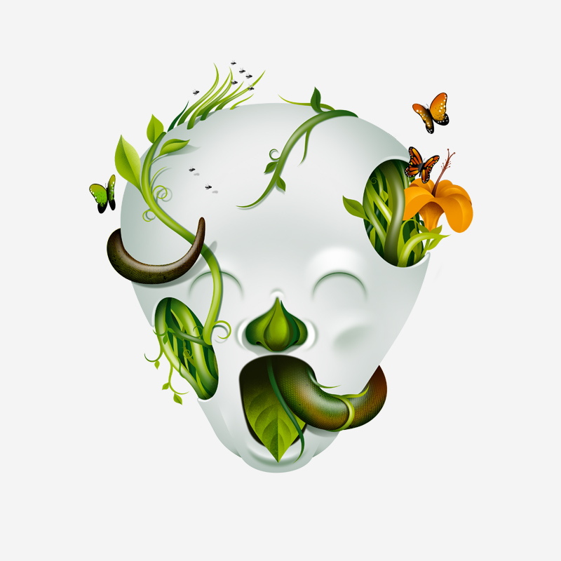 HEAD-3.jpg