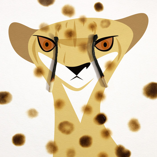 Cheetah.jpg