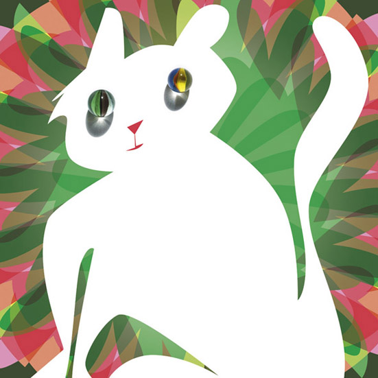 Gato.jpg