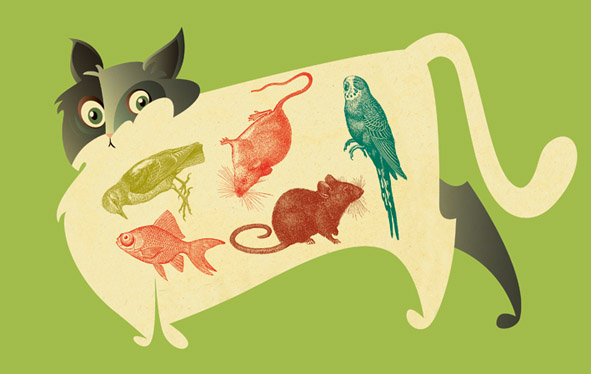 Gato2.jpg