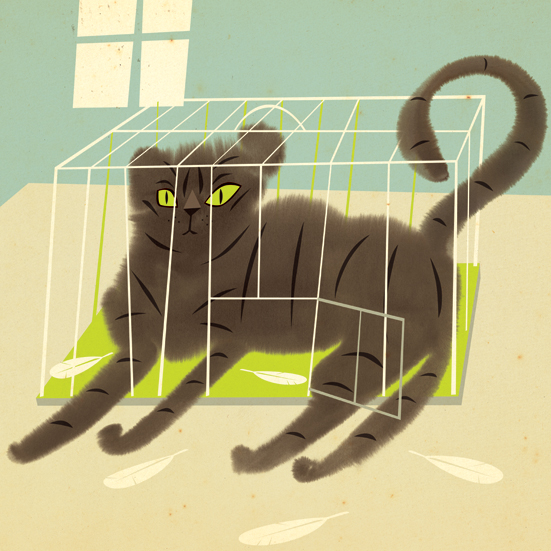 Gato4.jpg