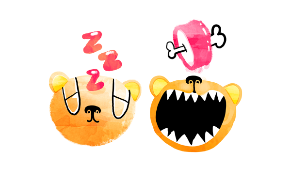 60630c20774387.5630a76794197.png