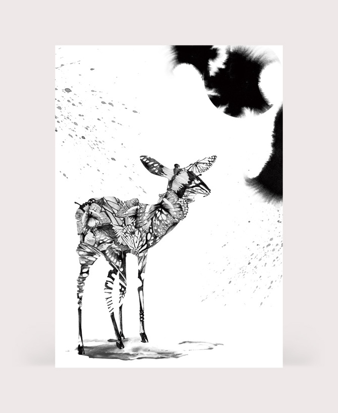 deer3.jpg