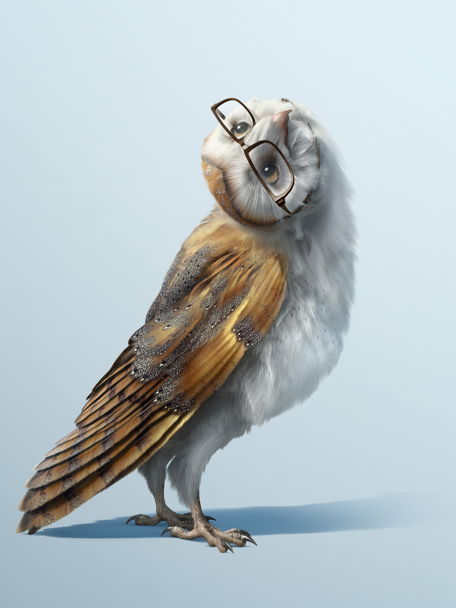 024_OllieWeb_Portrait2.jpg