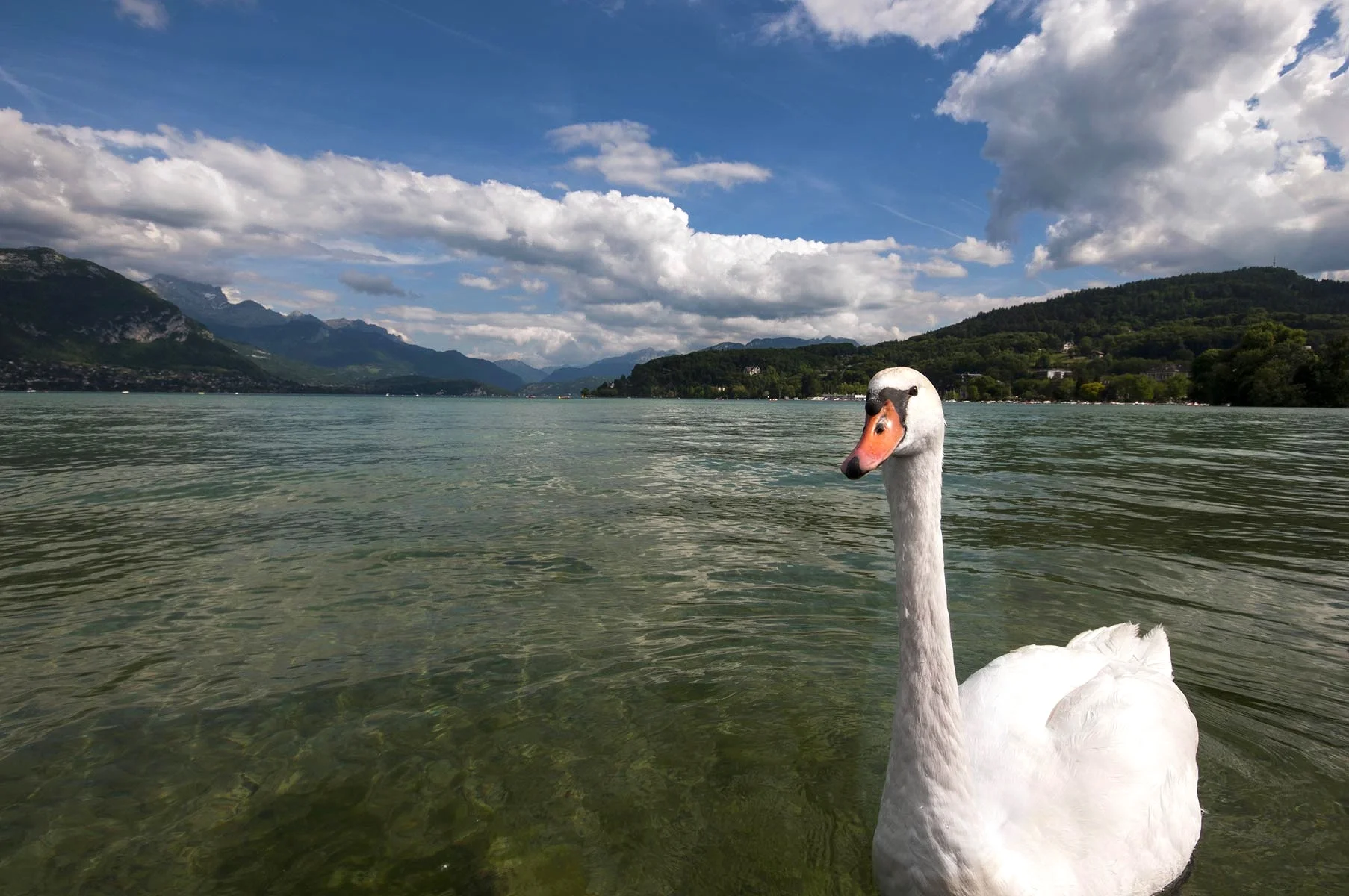Luc-Annecy5.jpg