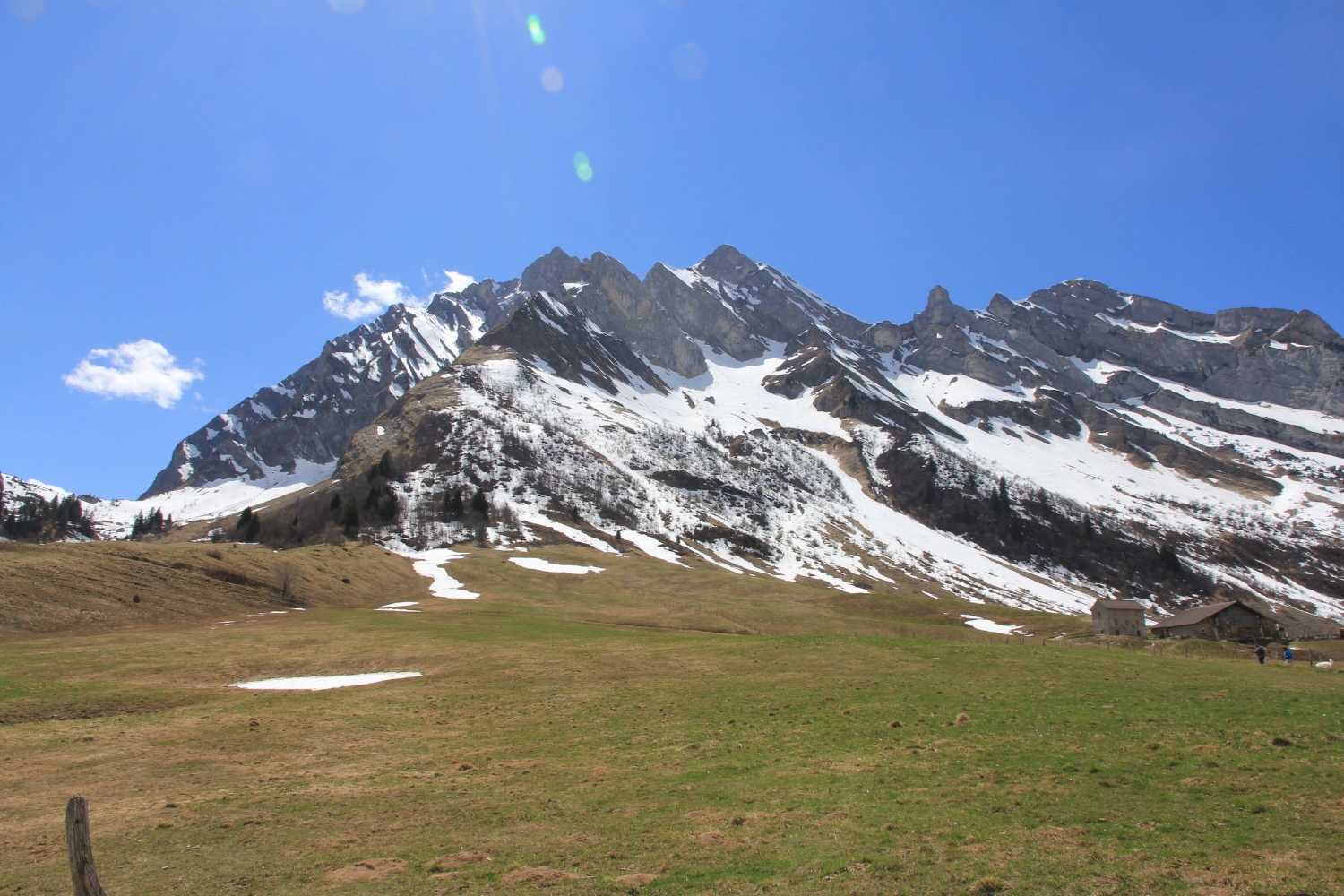 IMG_7367.jpg