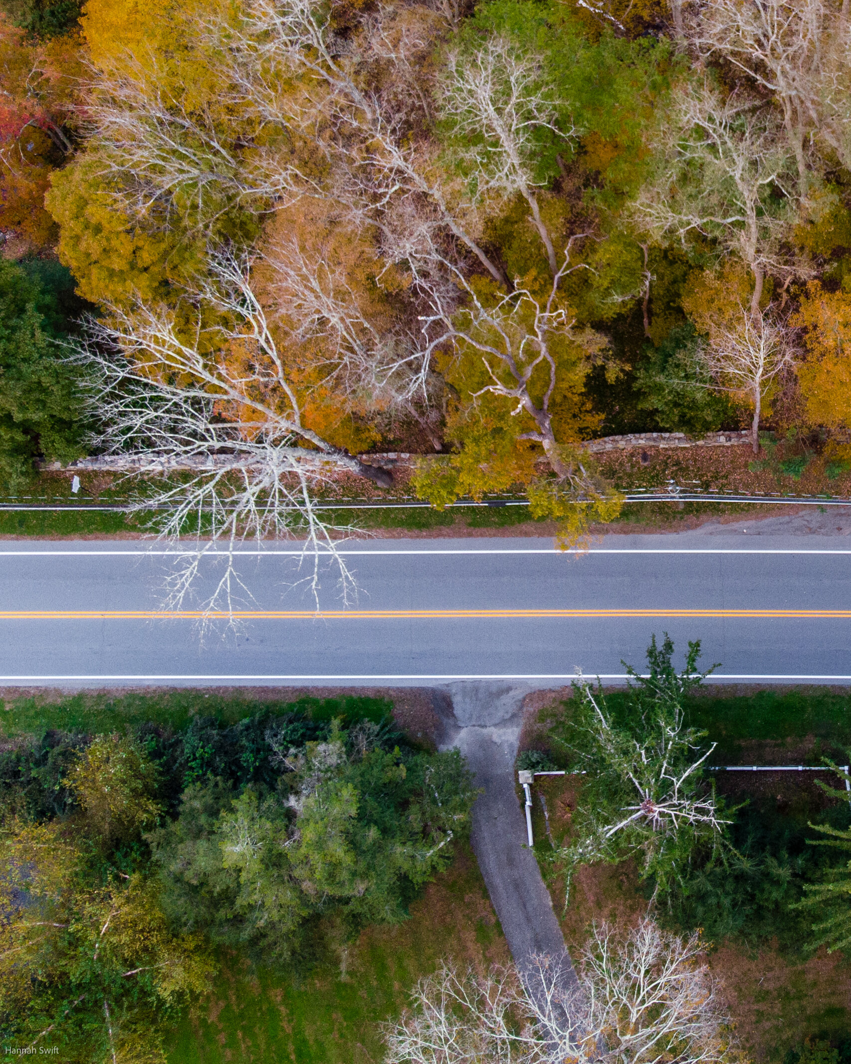 DJI_0246.jpg
