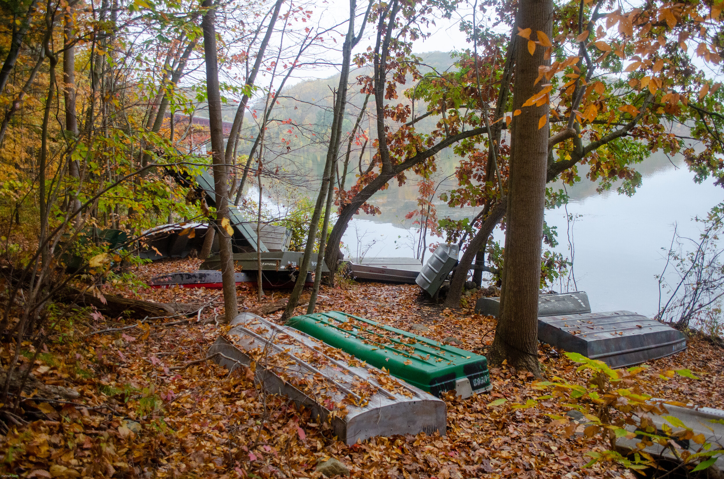 DSC_0068.jpg
