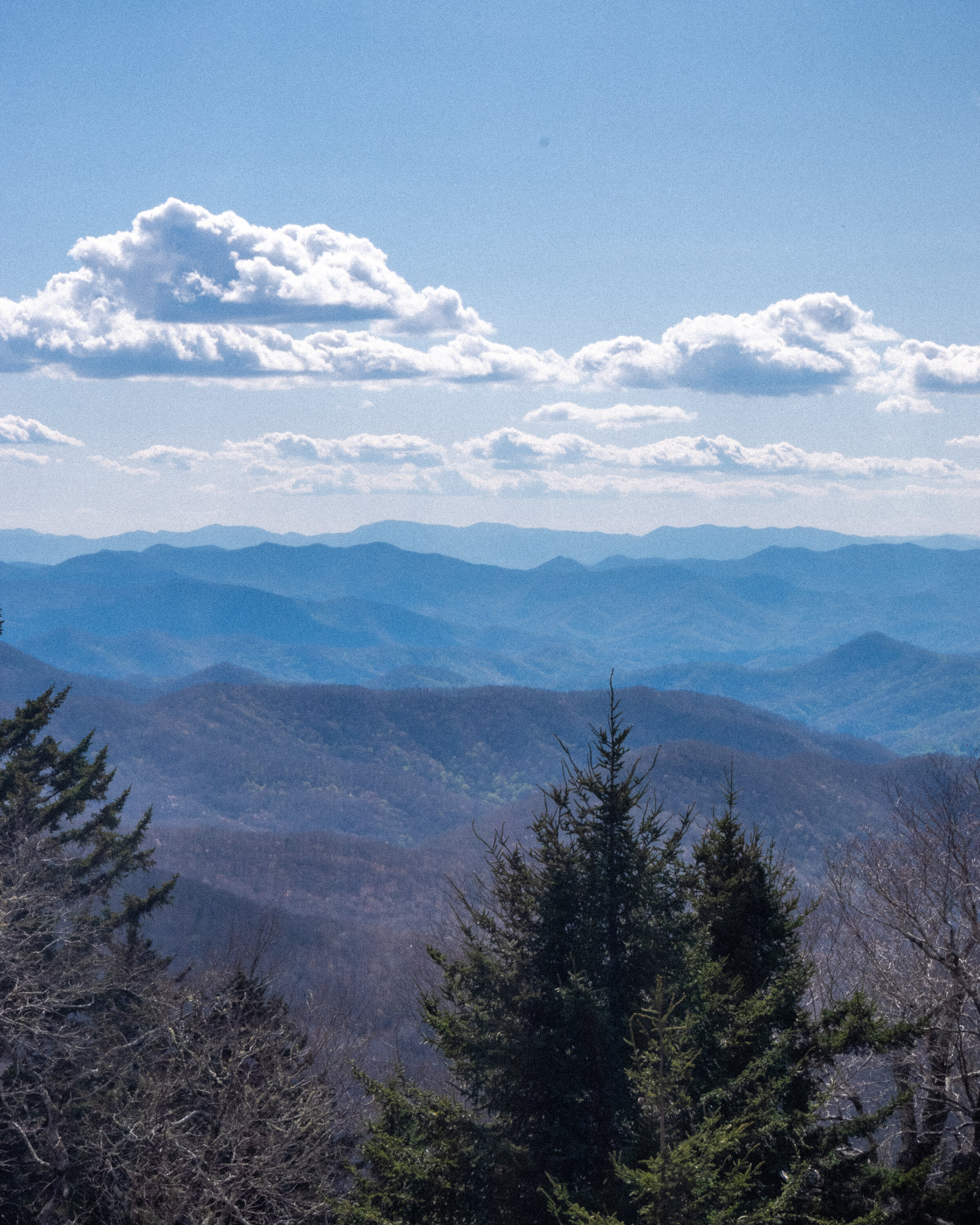 20210420-_DSF6379.jpg