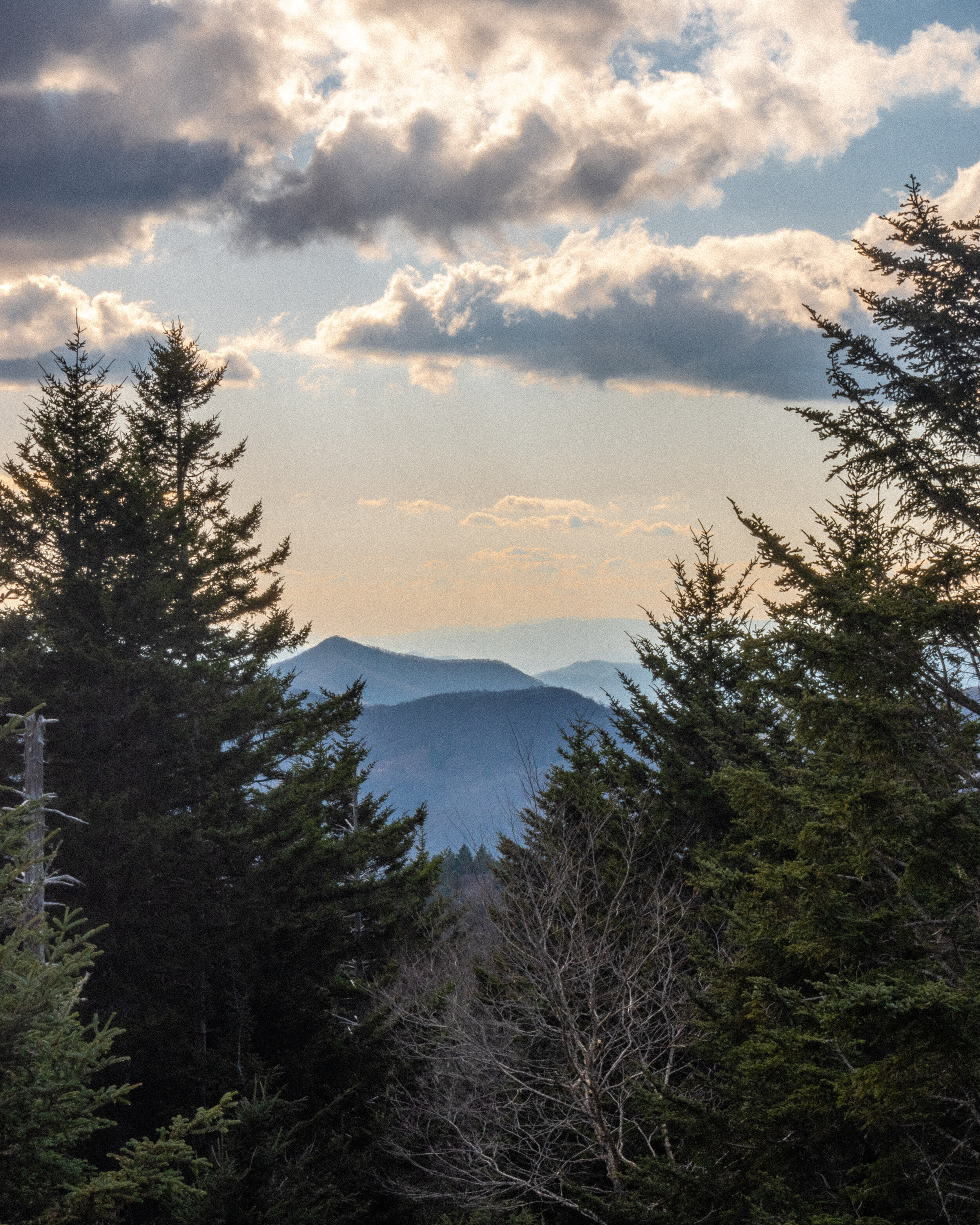 20210420-_DSF6410.jpg